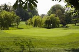 Golf @ Clayton Hotel, Ballsbridge